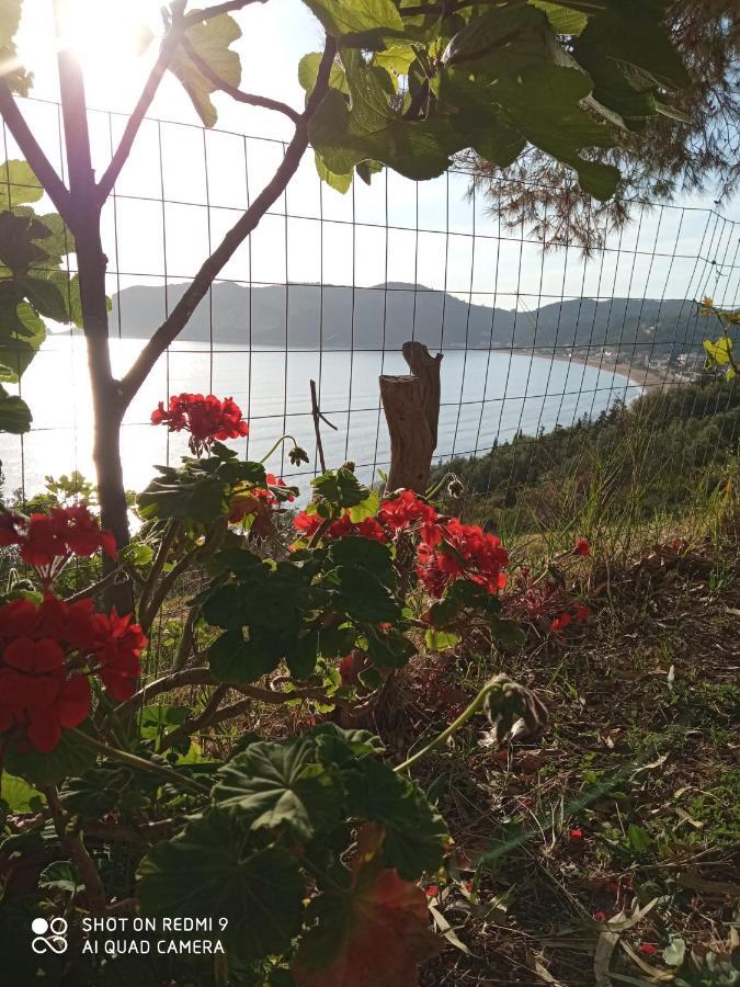 Cozy Apartment Few Mins From Beach Corfu อายีโอส เยออร์ยิโอส ปากอน ภายนอก รูปภาพ